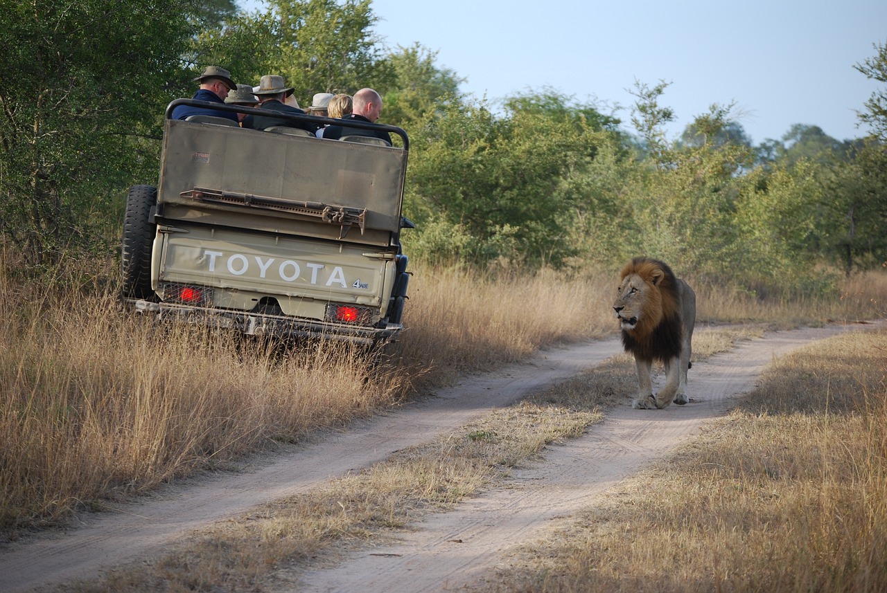 Aventura en la Selva